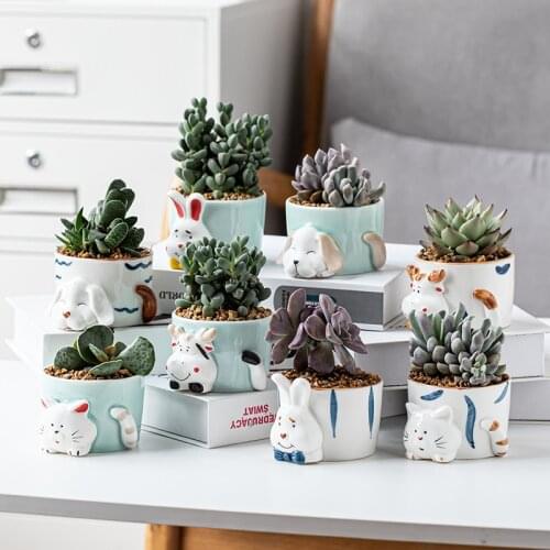 Celadon animal cartoon cute ceramic flowerpot creative succulent combination potted simple and fresh hand-painted pot