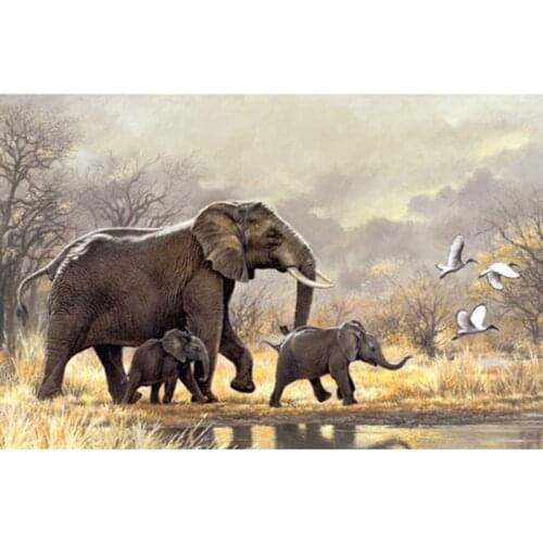 Full Square&round Drill 5D DIY Diamond Painting "Animal elephant" diamond Embroidery Cross Stitch 5D Home Decor Gift