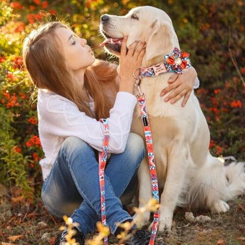 Personalized Dog Collar Leash Set Custom Pet ID Collars Princess Colorful Printed Dogs Walking Leash for Small Medium Large Dogs