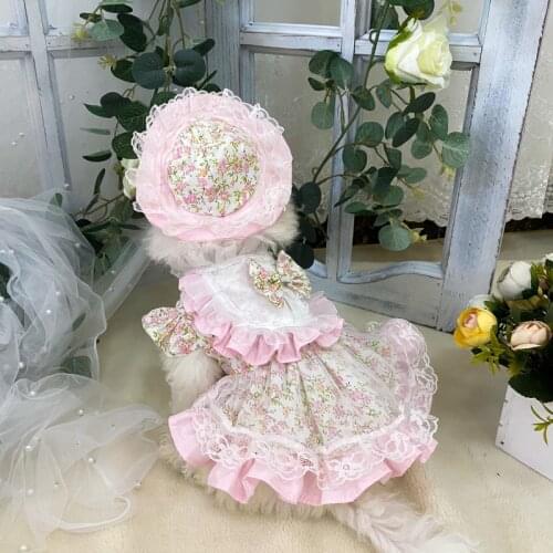 Dog Clothes Cat Clothing XS Summer Pet Dress Princess Skirt Chihuahua Yorkshire Pomeranian Poodle Puppy Small Dog Costume Outfit