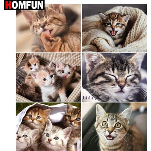 HOMFUN 5d Diamond Painting Full Square/Round "Kitten cute" Picture Of Rhinestone DIY Diamond Embroidery Home Decor