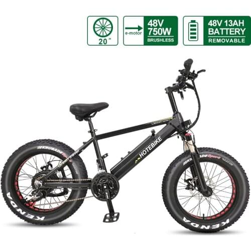 HOTEBIKE Motorized Bicycles
