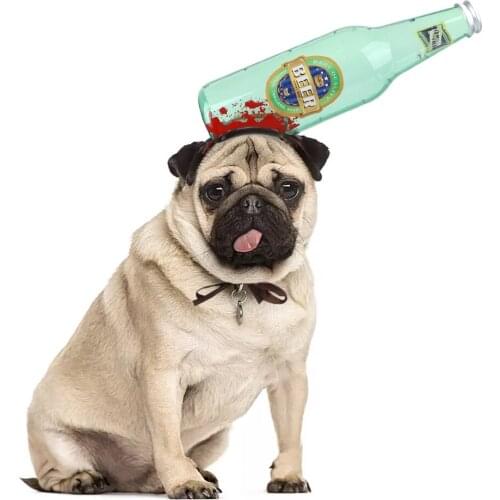 Dog Cat Head Set Dress Up Tricky Props Dress Up Small Dog Costumes Pet Halloween Headdress Hat Funny Pet Supplies Accessories