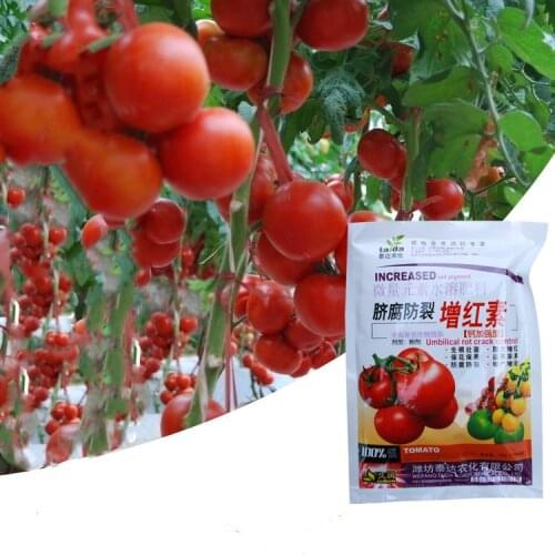 30g Vegetable Fertilizer Supplemental Plant Nutrition Homobrassinolide Expanded Fruit Rapid Rooting Powder Home Garden Supplies