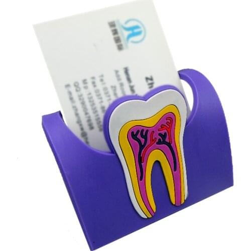Colorful Dental Cute Card Holder Rubber Molar Shaped Name Case Display Stand Free Shipping