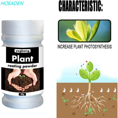 Plant Growth Rapid Rooting Powder Water Soluble For Seedling Bonsai Tree Cutting Fungicide Rooting Hormones Fertilizer
