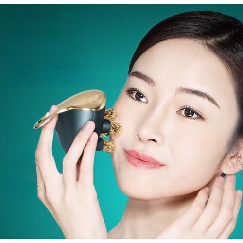 BRETEUIL Facelift Tools