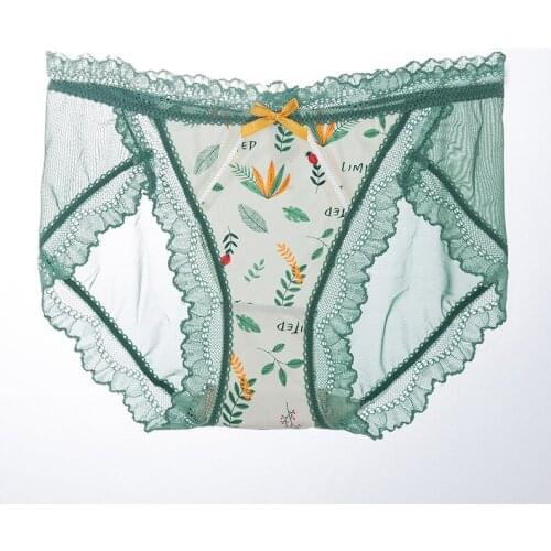 Womens Sexy Lingerie Perspective Panties Cute Print Ultra-thin Mesh Briefs Low-Waist Satin Ice Silk Underwear Female 103