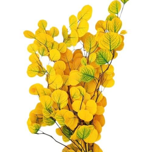 80g Natural Preserved Eucalyptus Leaves Bouquet Eternal Dried Flower Fake Plant Wall Decorative Wedding Shooting Prop Home Decor