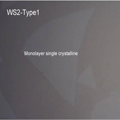 Tungsten disulfide 15: copper film substrate WS2
