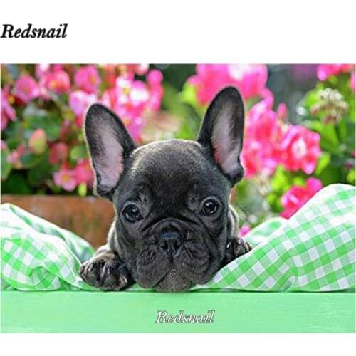 5d Full Square Round Diamond Painting New Arrival French Bulldog Dog Cross Stitch Kit Diamond Embroidery Mosaic Decor EE606