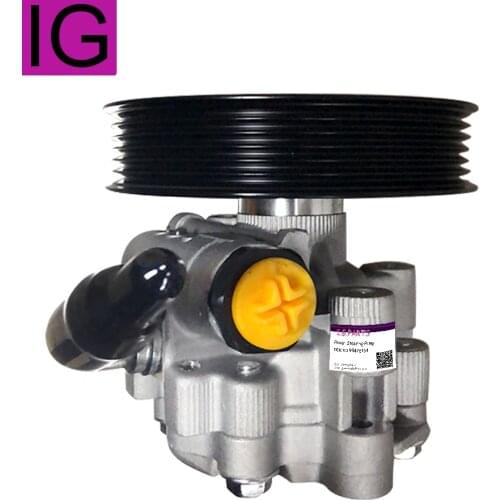 For Power Steering Pump Assembly For Chevrolet Captiva 2.0 2.2 For Opel Antara 2.0 2.2 95476164 4819561 95048324 4818705