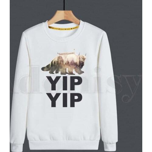 Avatar The Last Airbender Aang And Appa Anime Men Hoodies Sweatshirt Print Trend Mens Clothes Hip-Hop Male Crewneck Hoodies Men
