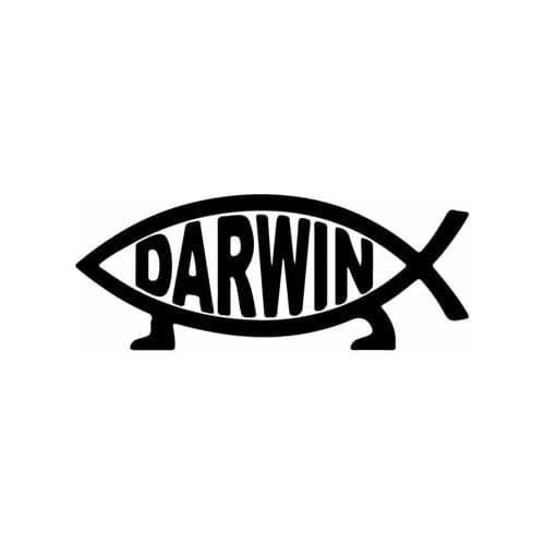12.7CM*5CM DARWIN Small Fish Vinyl Car Motorcycle Sticker Decals Laptop Suitcase Helmet Skateboard Sticker