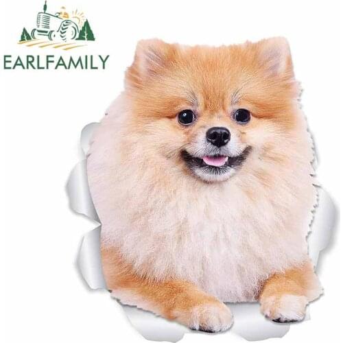 EARLFAMILY 13cm x 11.5cm For Pomeranian Dog Car Styling Stickers Trunk Decal Waterproof Vinyl Material Suitable for VAN RV