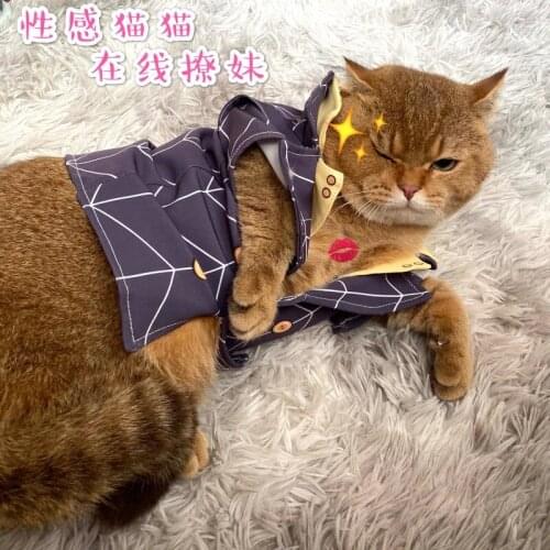 JoJos Bizarre Adventure Prosciutto Cosplay Costume Cartoon Cat Dog Clothes Hoodie Pullover Sweatshirt Warm Pet Clothing Props