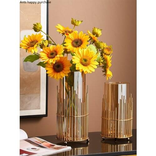 European Golden Metal Glass Vase Flower Arrangement Dried Flower Dining Table Tea Table Decoration Wedding Vase Home Decoration