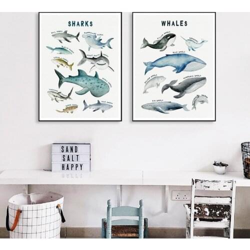 Whales and Sharks Species Marine Animals Educational Poster Ocean Sea Wall Art Canvas Print Painting Nursery Decorative Pictures