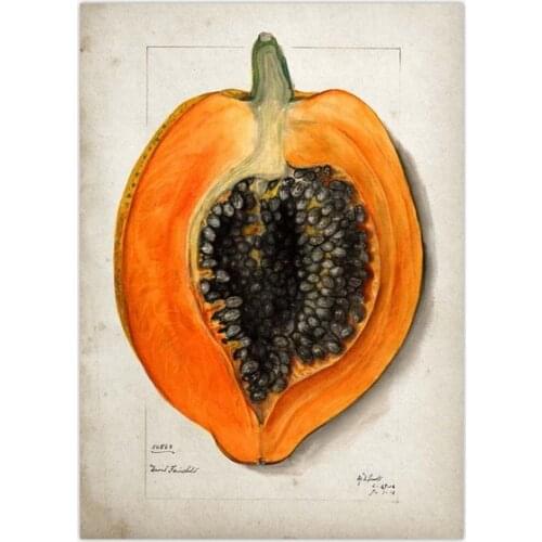 Fresh Fruit Market Sign Papaya Metal Tin Sign 8x12 Inch Retro Farm Organic Fruit Home Kitchen Bar Pub Wall Decor