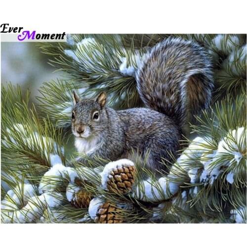 Squirrel diamond painting cross stitch full diamond embroidery europe wedding decoration square halloween christmas gift ASF373