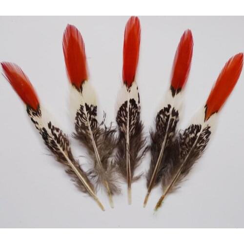 Wholesale Lady Amherst 10Pcs 10-15cm Copper Chicken Feather Pheasant Tail Plumes For DIY Crafts Clothing Party Hat Decoration
