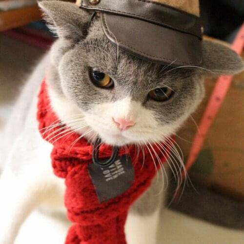 Pet Scarves, Cats Winter Scarf, Neckerchief, Neck-Warmer for Cats, Kitten, Small Dogs, Free Shipping