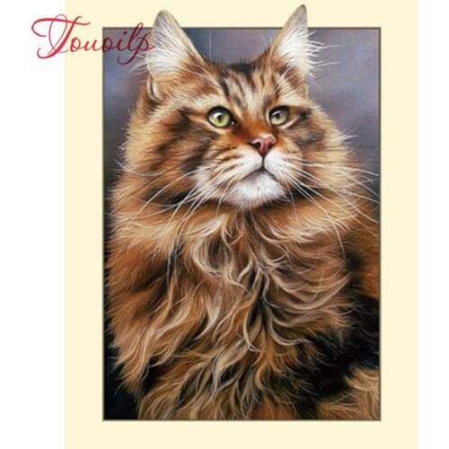 Touoilp DIY 5D Diamond Painting Maine Coon Cat Cross Stitch Mosaic Diamond Embroidery Needlework Patterns Rhinestone paintings