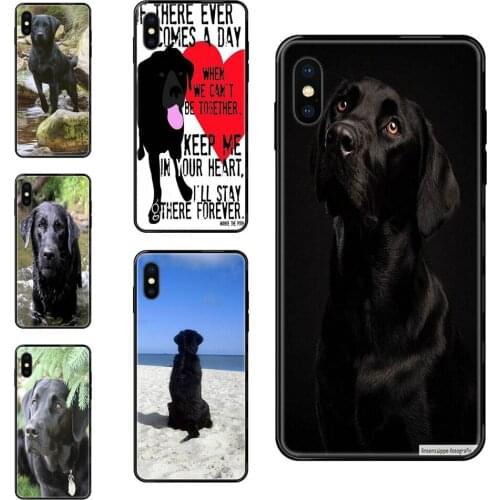 Black Labrador Retriever Dog Art Designer For Xiaomi Mi Note A1 A2 A3 5 5s 6 8 9 10 SE Lite Pro Ultra Black Soft TPU Ultra Thin