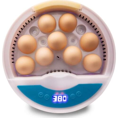 9 Egg Automatic Incubators Hatchers Chicken Automatic Eggs Incubator Bird Quail Brooder Farm Hatchery Incubator Brooder Machine