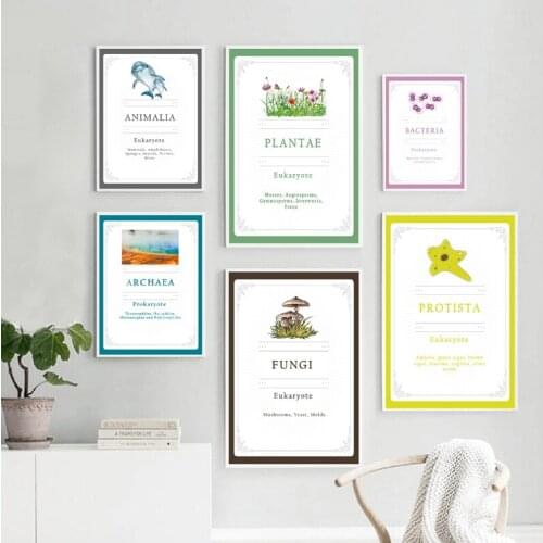 Biology Posters and Prints Science Educational Wall Art Pictures Animalia Plantae Fungi Art Canvas Painting School Wall Decor