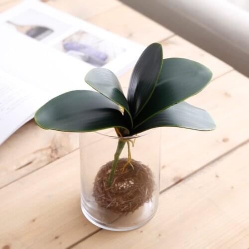 Simulation Orchid Artificial Plants Fake Leaves Photography Staff Home-Decoration