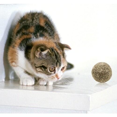 Cat Mint Ball Toy 3.5cm Diameter Catnip Ball Funny Toy Cat Dog Balls Toys Pet Cat Puppy Ball Playing Toys