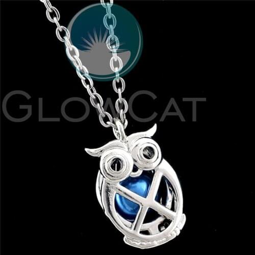 R-K1125 Silver Owl Bird Beads Cage Pendant Essential Oil Diffuser Aroma Pearl Cage Locket Necklace