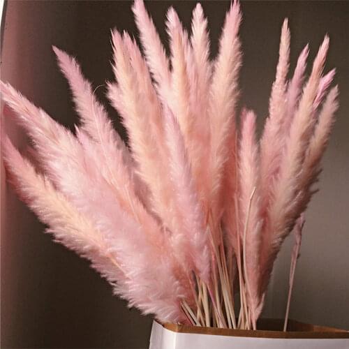 15 Pcs Dried Small Pampas Grass Phragmites Communis Decoration for Home Hotel Wedding AUG889
