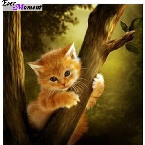 Diy diamond painting animal diamond cross stitch crystal square diamond sets unfinished full diamond embroidery cat ASF255