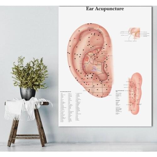 Anatomical Charts Posters Ear Acupuncture Ear Anatomy Poster Canvas Painting Wall Pictures for Medical Education