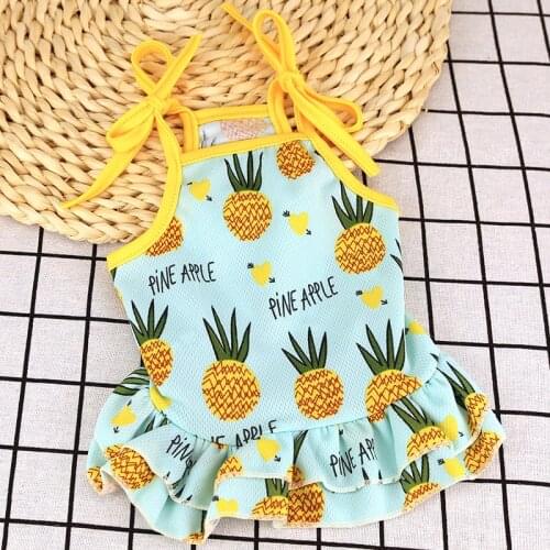 Sweet Pet Dog Couple Wear Summer Cool Puppy Clothes for Small Dogs Poodle Pug Dress Vest Shirt Dog Clothing T-shirt Bitch Skirt