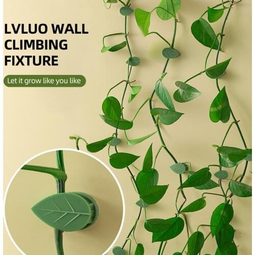 10pcs Plant Fixture Clip Plant Climbing Wall Self Adhesive Fastener Tied Fixture Vine Buckle Hook Garden Plant Wall Vine Fixture