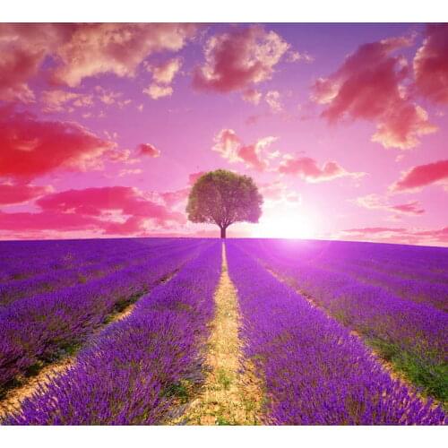 Photography Backdrop for Party 5x7 Digital Vinyl Background Studio Newborn Wedding Photo Booth Fotografia