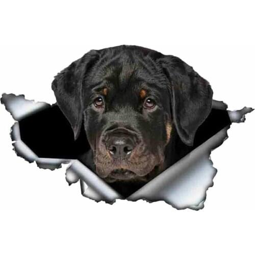 S50474# Various Sizes Personality PVC Decal Rottweiler Dog V4 Waterproof Car Sticker on Motorcycle Laptop Decorative