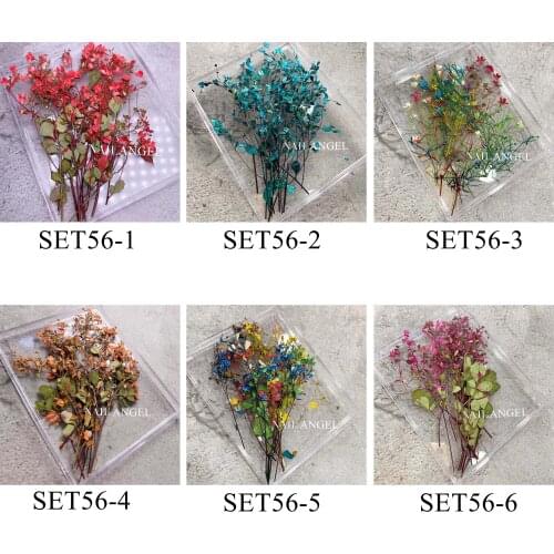 1set Nail art Dry flower Mixed Decoration Nail Art Deco Dry Flower