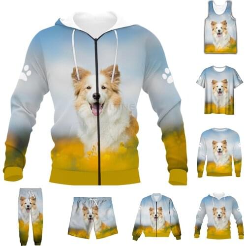 New Funny 3D Full Print Animal Border Collie T-shirt/Sweatshirt/Zip Hoodies/Thin Jacket/Pants Four Seasons Casual Suit V47