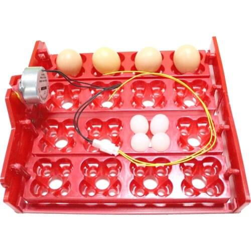 16 Chicken Eggs 64 Quail Eggs Parrot Eggs Egg Incubator Tray Applied Voltage Is 110v / 220v /12v Incubator Accessories