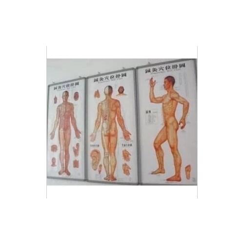 3pcs/sets Human Meridian Acupuncture Point Health Therapy Medical Massage Acupuncture Acupoints Map In Chinese-English