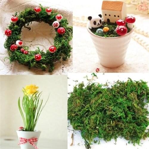 20/50/100g keep dry real green moss decorative lawn silk flower accessories for flowerpot decoration Simulation Fake Green plant