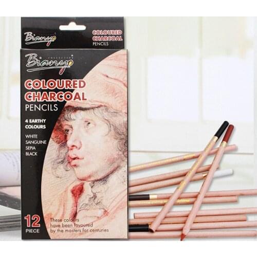 12 Pcs/Box Artist Soft Pastel Pencils Crayon Charcoal Pencils Artiste Wooden Non Toxic Pencil for Sketching Drawing