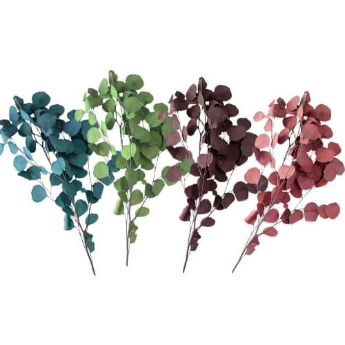 Natural Eucalyptus For Leaves Dried Flower Decorations DIY Home Wedding Shooting Party Decor Supplies Plant Branches Immortal F