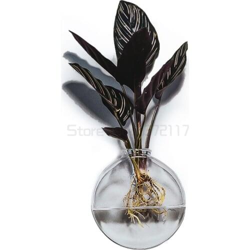 Hanging flower pot, hanging green plant wall, half wall vase without drilling, hydroponic glass bottle wall hanging