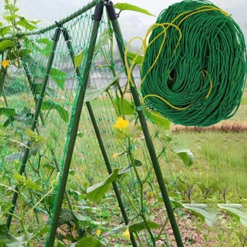 Товары для скалолазания и альпинизма GGKHCC China At AliExpress