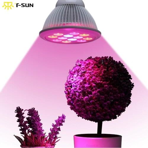 T-SUNRISE LED Lightening